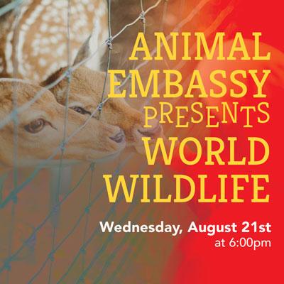 Animal Embassy presents World Wildlife