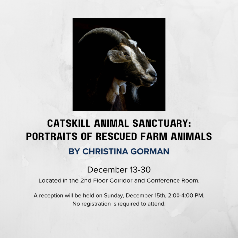 Art Reception - Catskill Animal Sanctuary: Portraits of Rescued Farm Animals by Christina Gorman