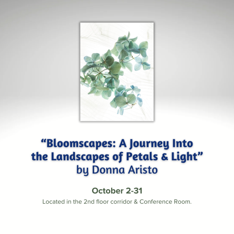 Art Exhibit - "Bloomscapes: A Journey Into the Landscapes of Petals & Light" by Donna Aristo