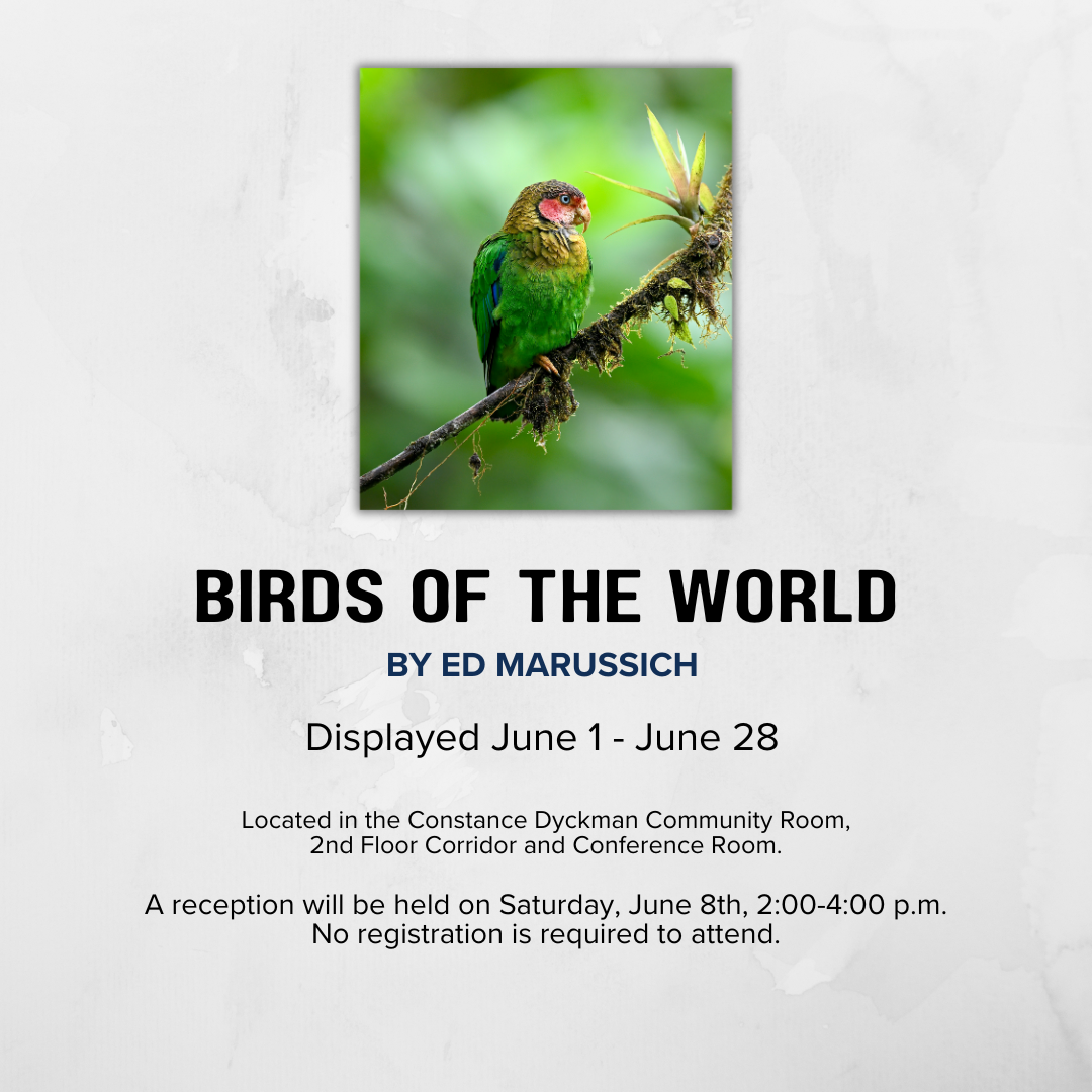 Art Exhibit - "Birds of the World" by Ed Marussich