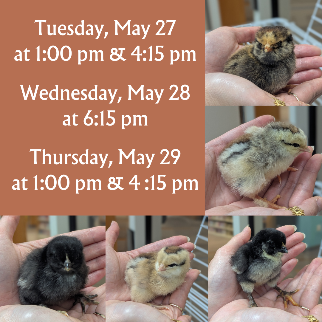 2025 Chick Meet and Greet