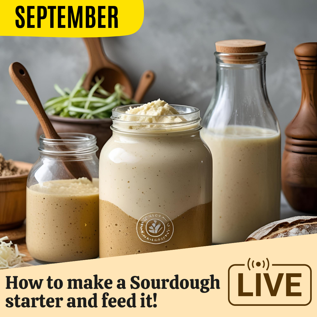 Virtual Cooking Class: How to Make and Feed a Sourdough Starter