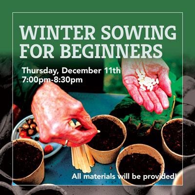 Winter Sowing for Beginners